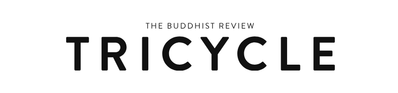 What Does the Science Say About Mindfulness? Willoughby Britton on Research and Reality